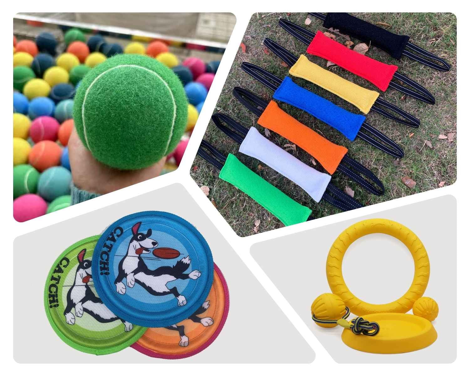 Interactive Training Toys Collection