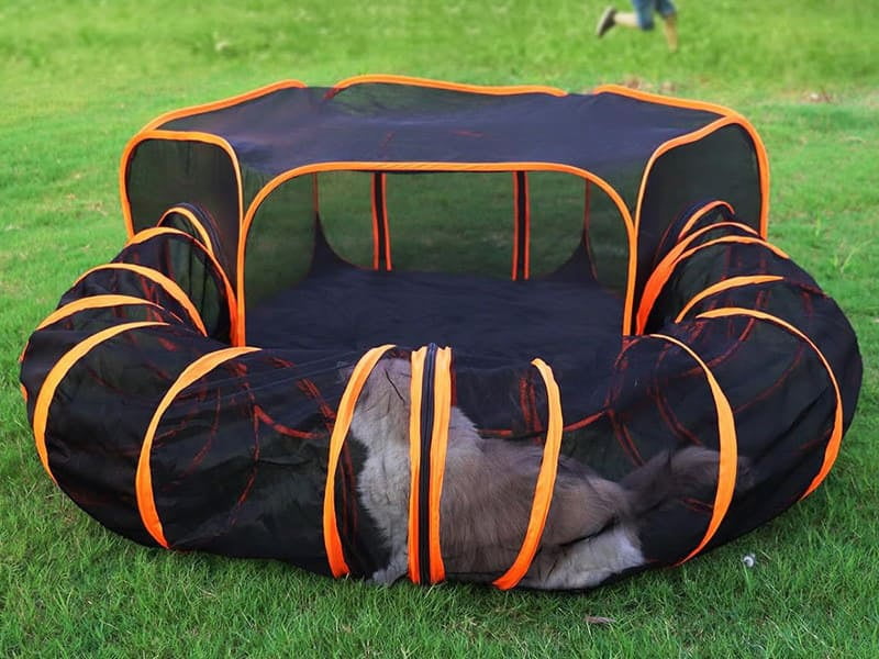Outdoor cat tent with tunnel system
