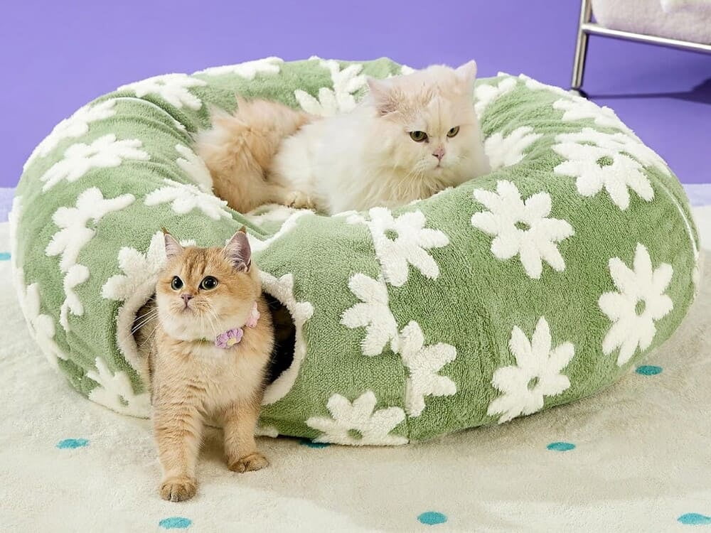 Plush cat donut bed tunnel combination