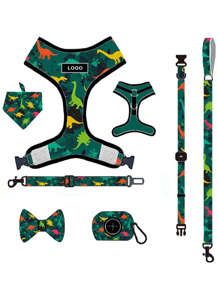 Premium dog walking accessories and gear