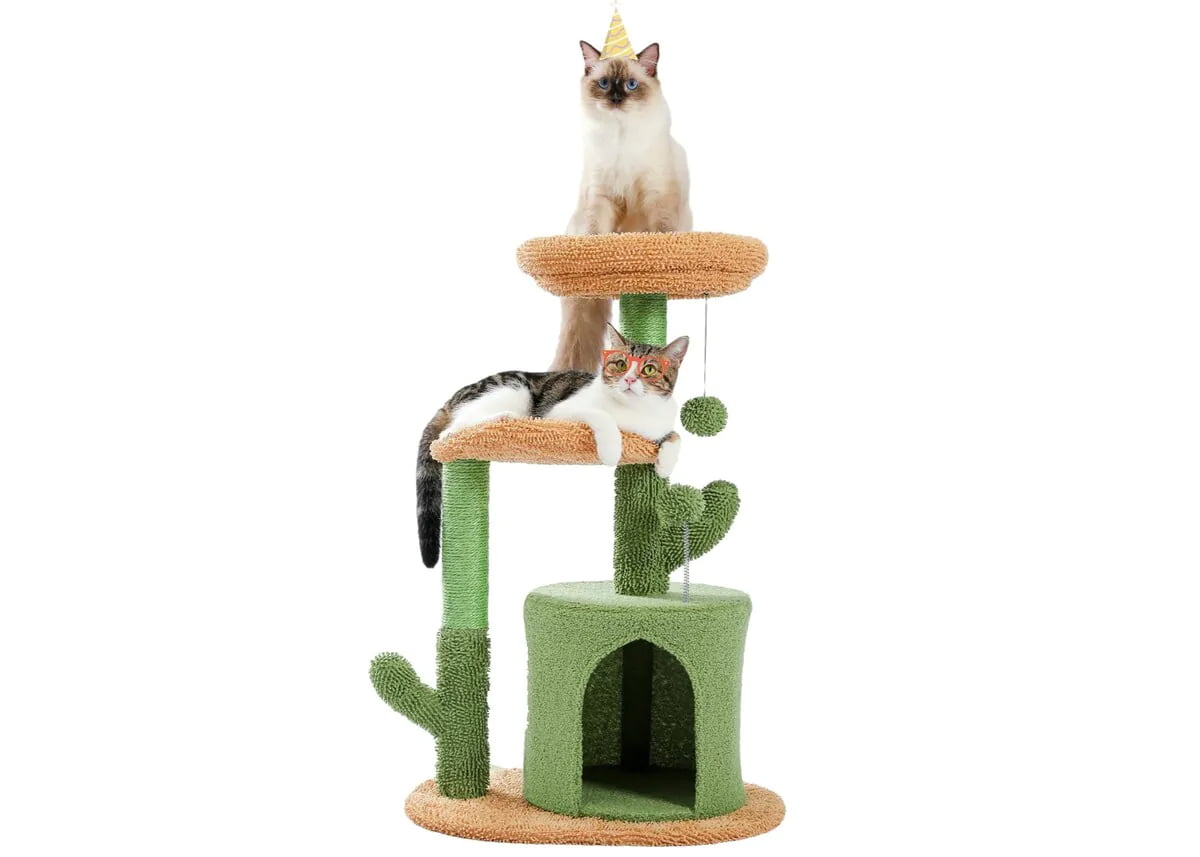 Small cat trees for apartments