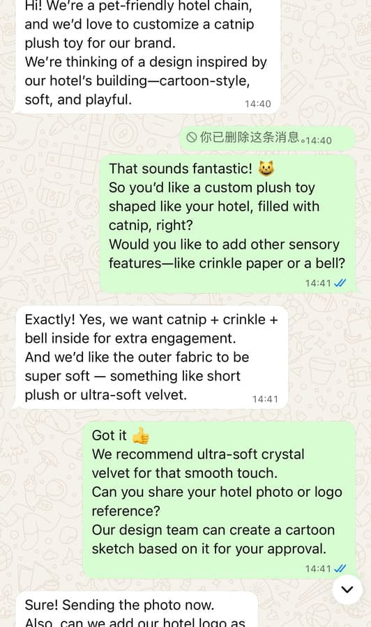 Custom ODM catnip plush cat toy design discussion