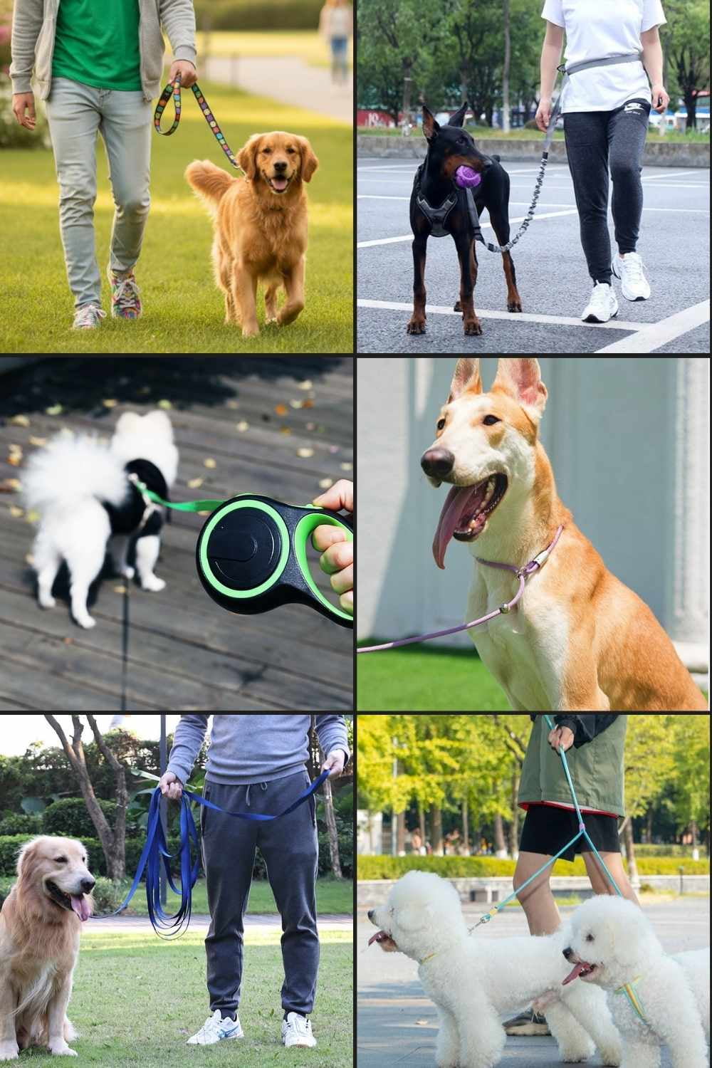 Professional Scenario-Based Leash Solutions Collection
