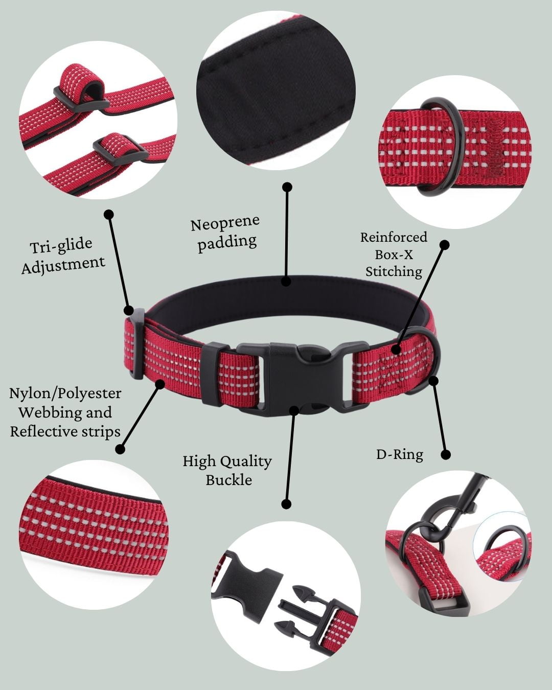 Dog Collar Structure Breakdown