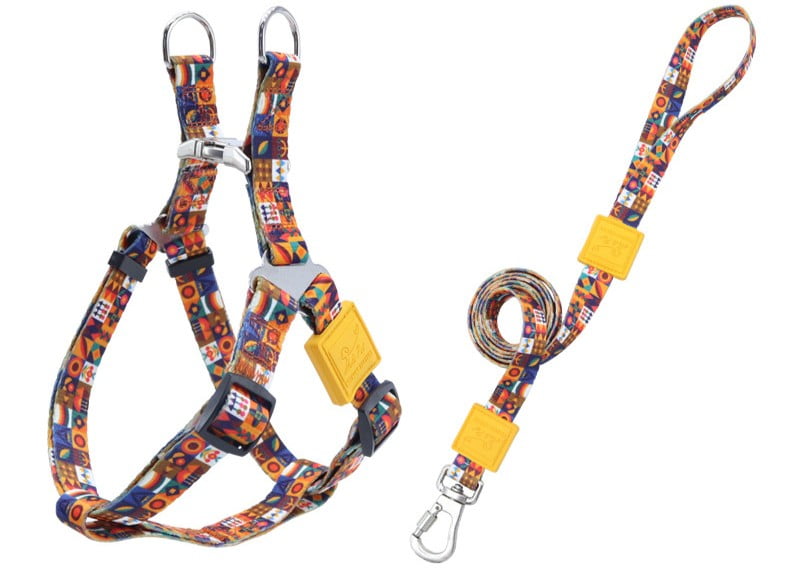Basic Webbing Dog Harness and Leash Set