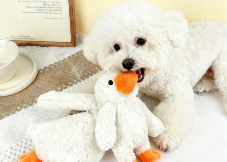 Soft plush dog toy for puppies