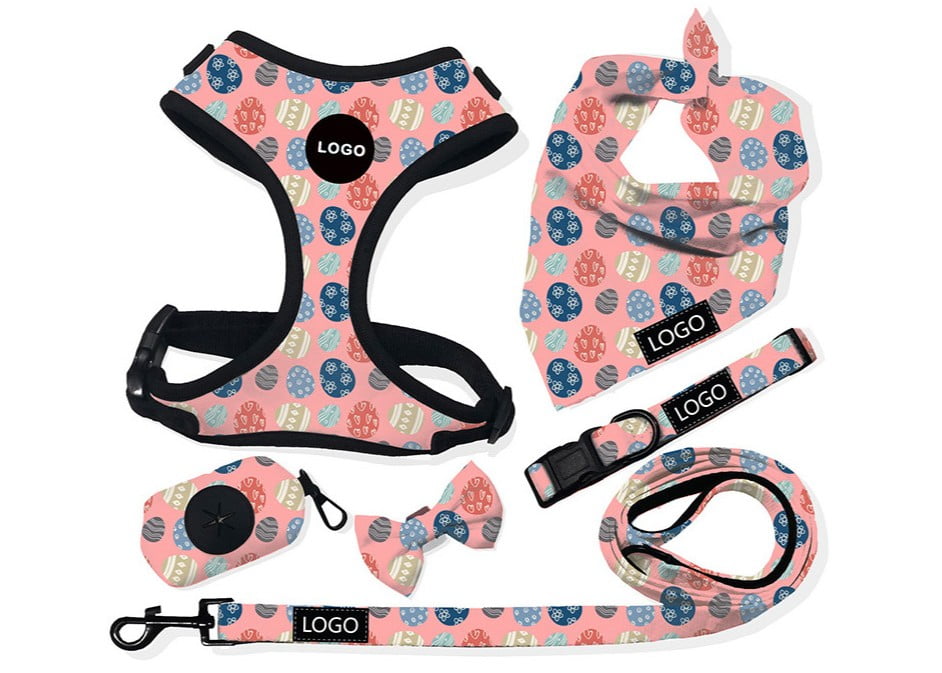 Complete Dog Walking Set