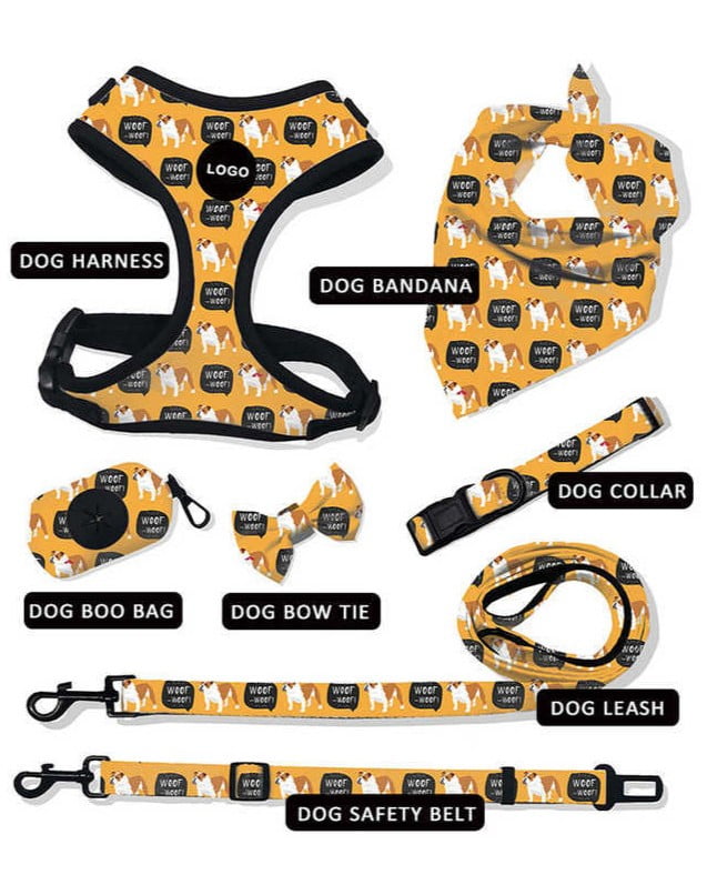 Custom Dog Harness and Leash Set