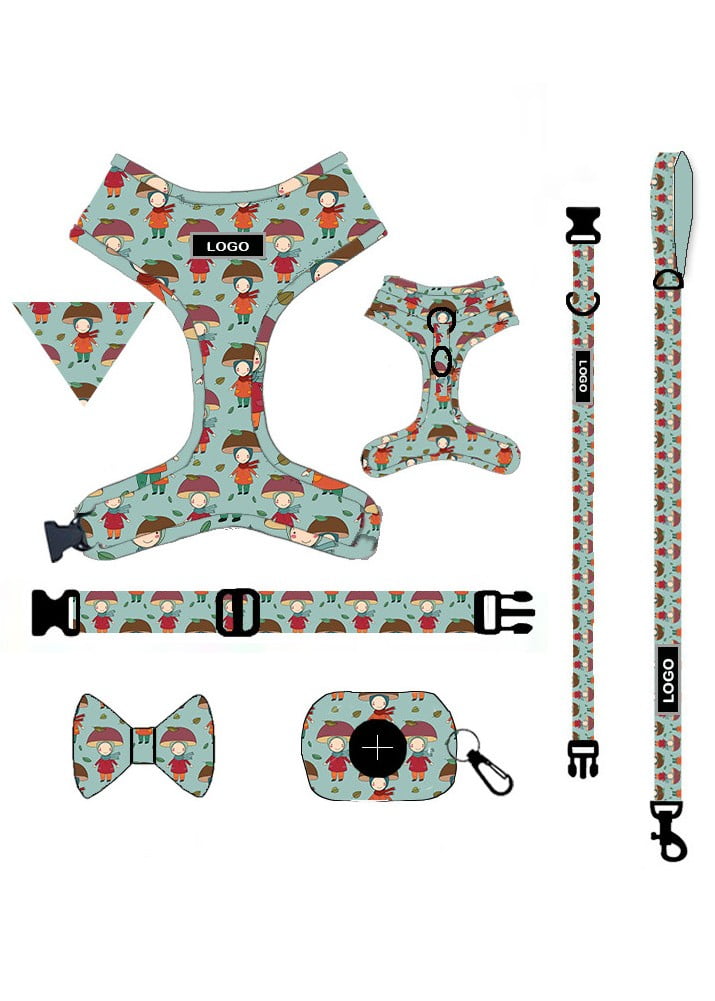 Customized Dog Harness and Leash Set