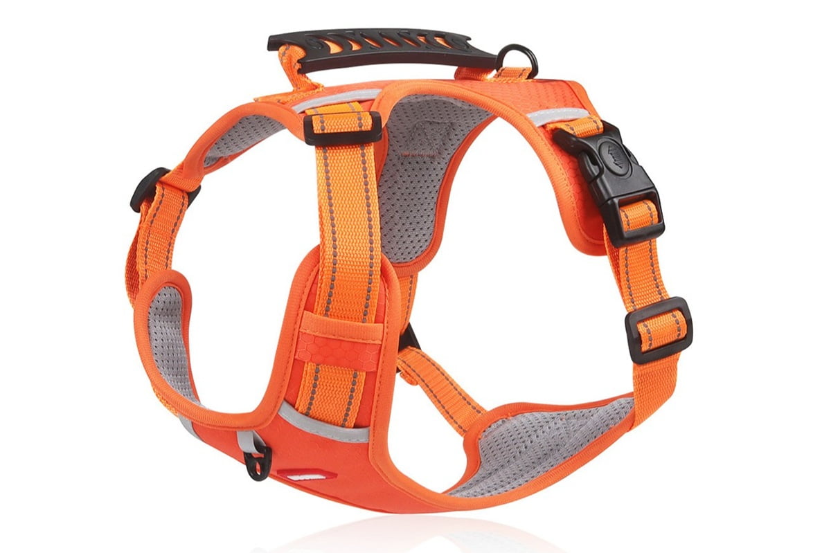 Dog Harness with Handle