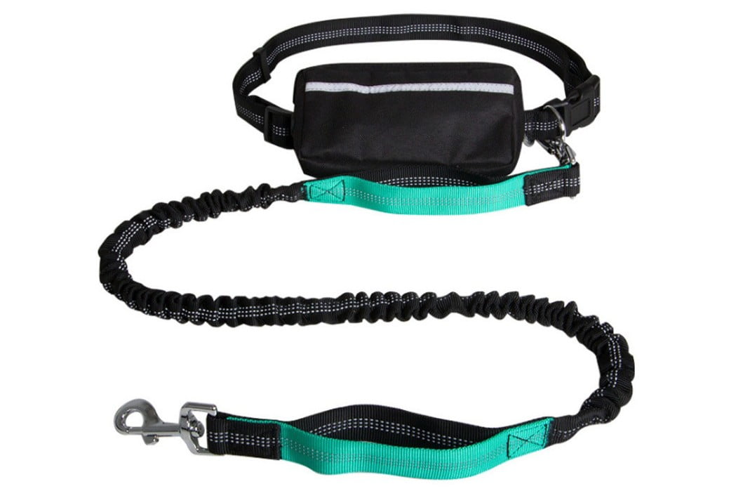 Dog Running Leash