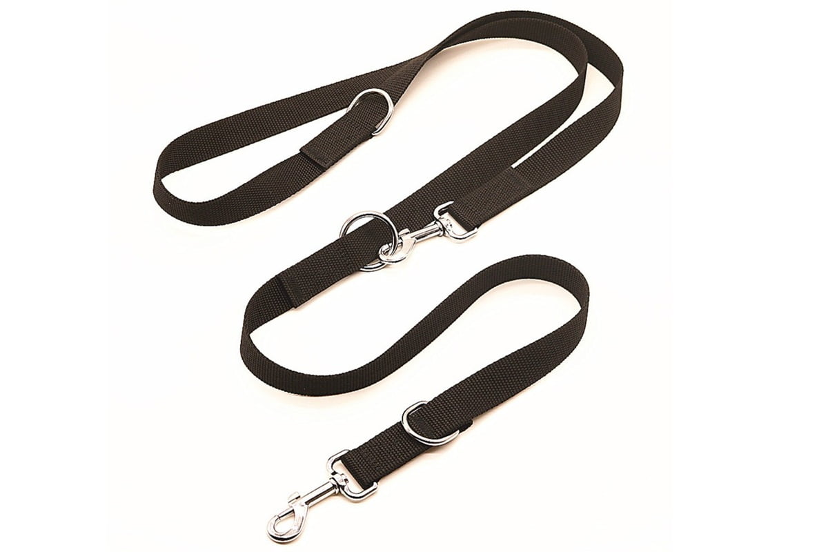 Dog Training Leash
