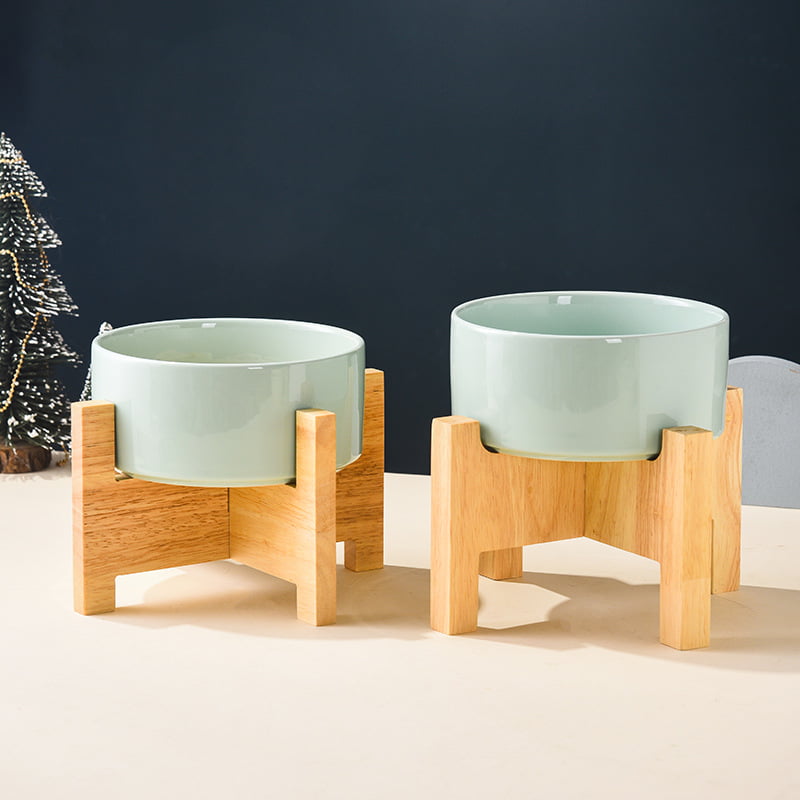Ergonomic Elevated Ceramic Pet Bowls