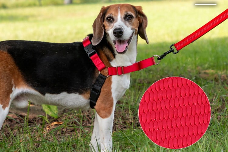 High-Density Webbing