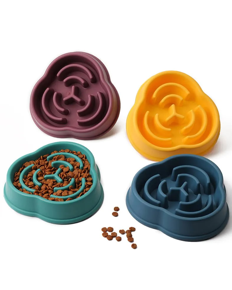 Modern Plastic Pet Bowls and Slow Feeders