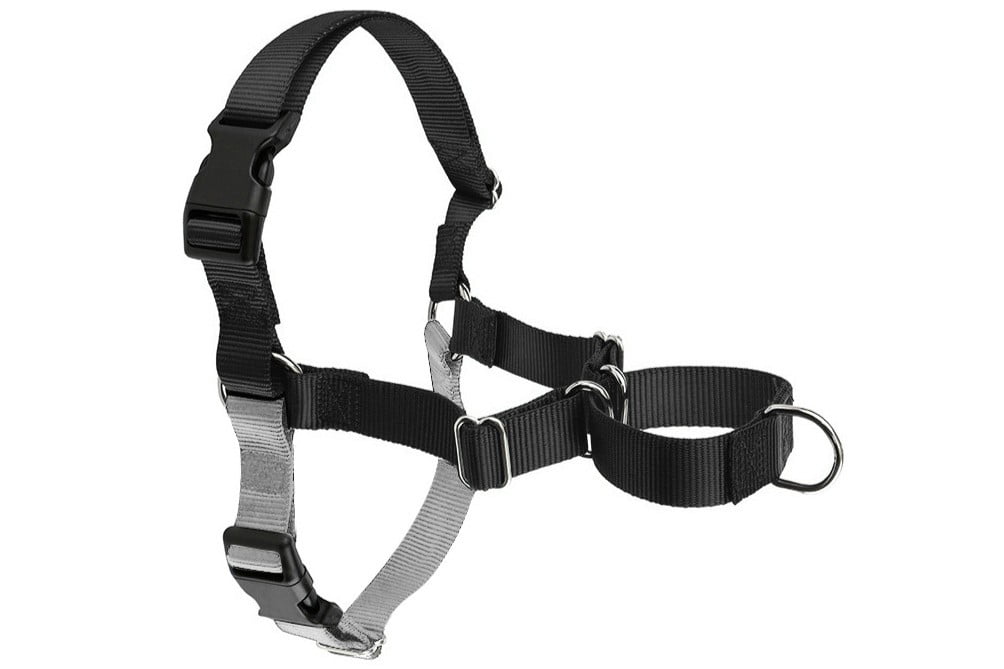 No-Pull Training Dog Harness