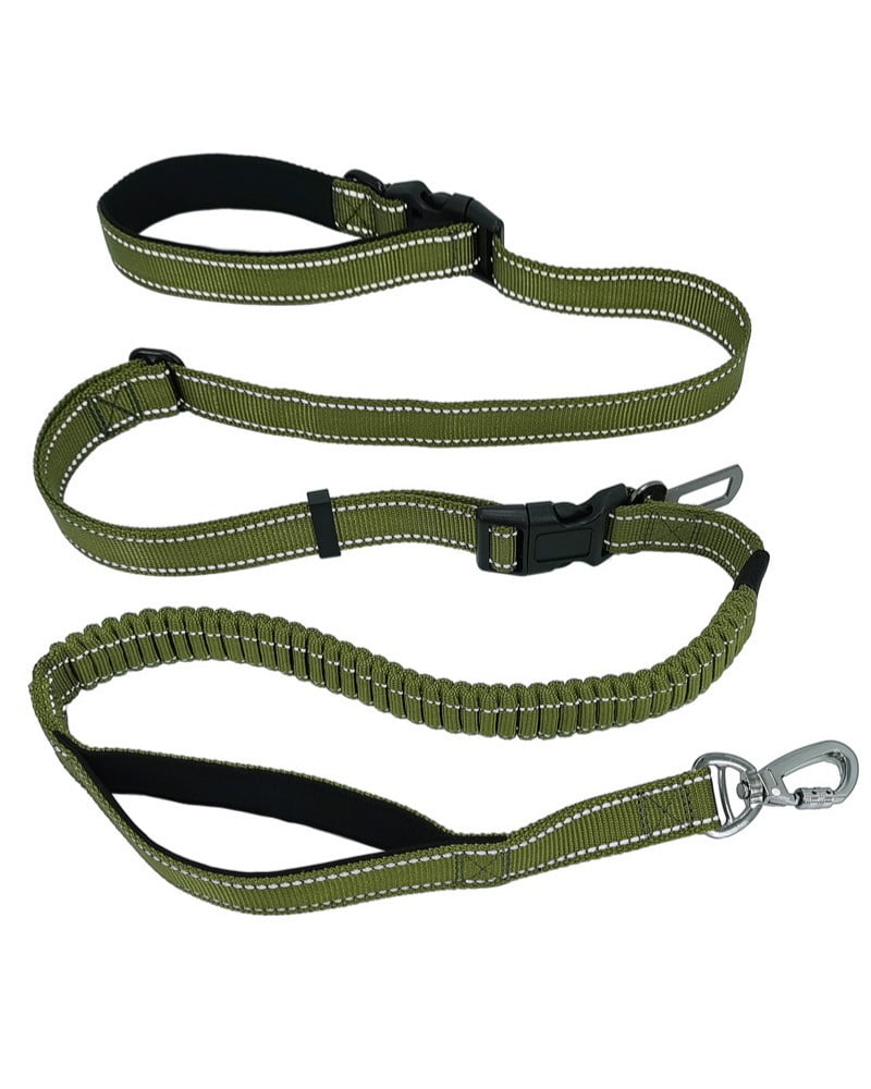 Premium Pet Leash Manufacturing and Design