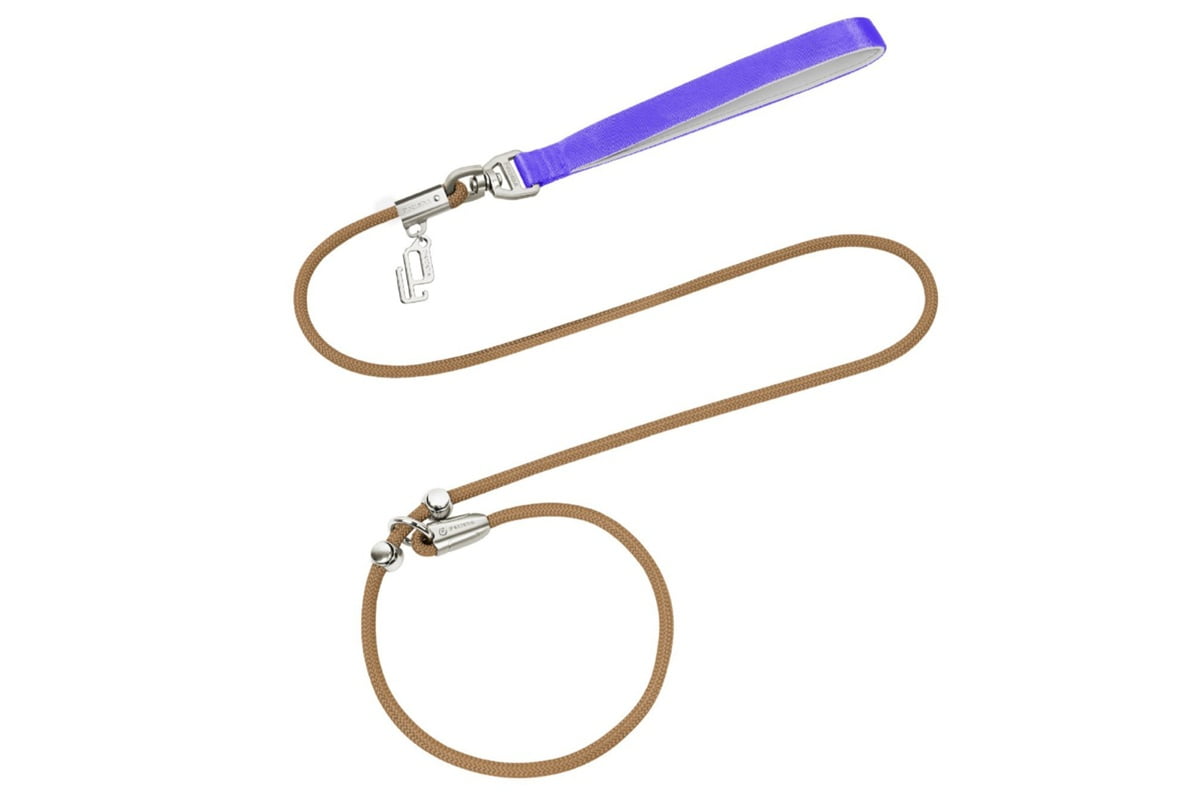 Slip Leash for Dogs