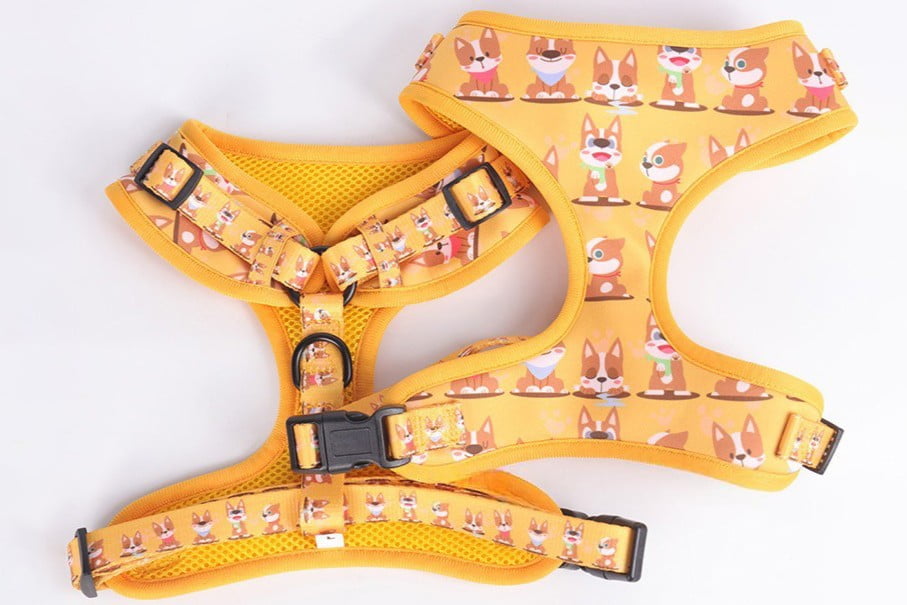 Soft Mesh Vest Harness