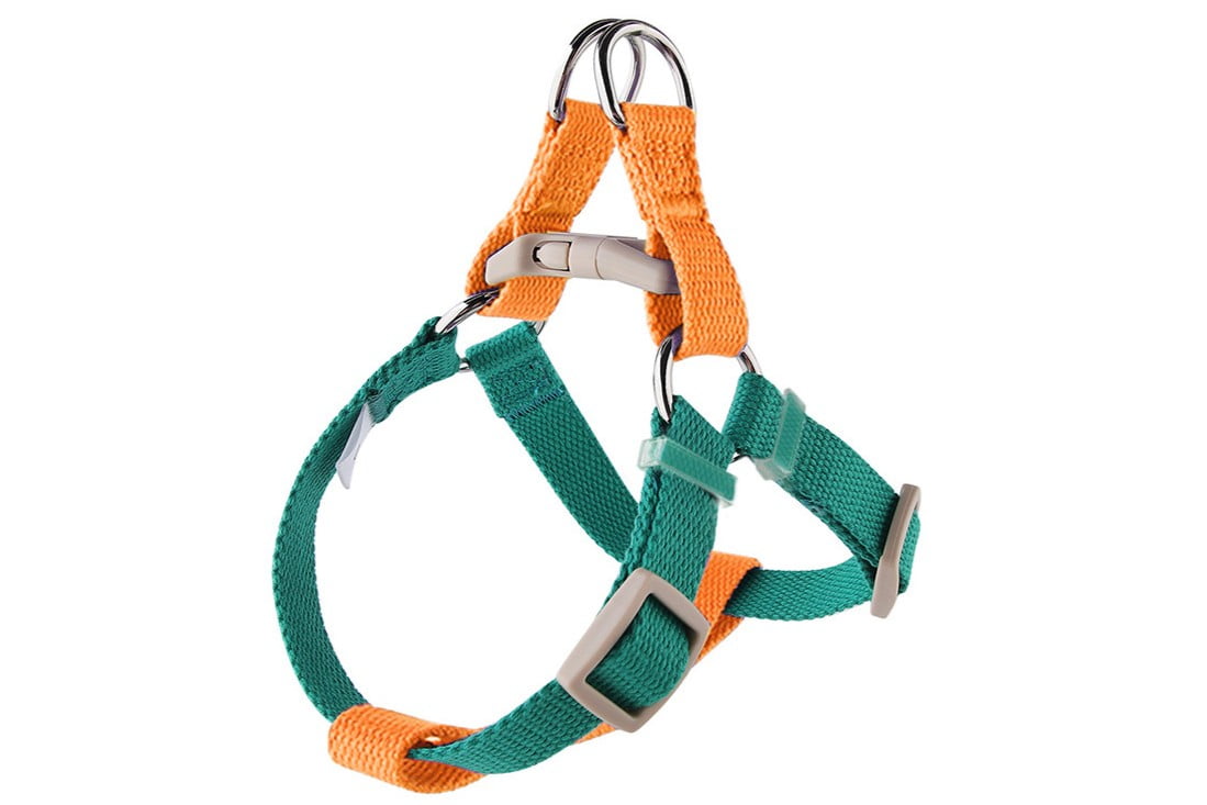 Step-in Dog Harness