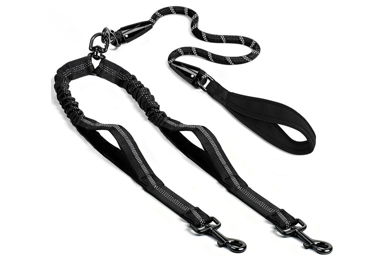 Two Dog Leash
