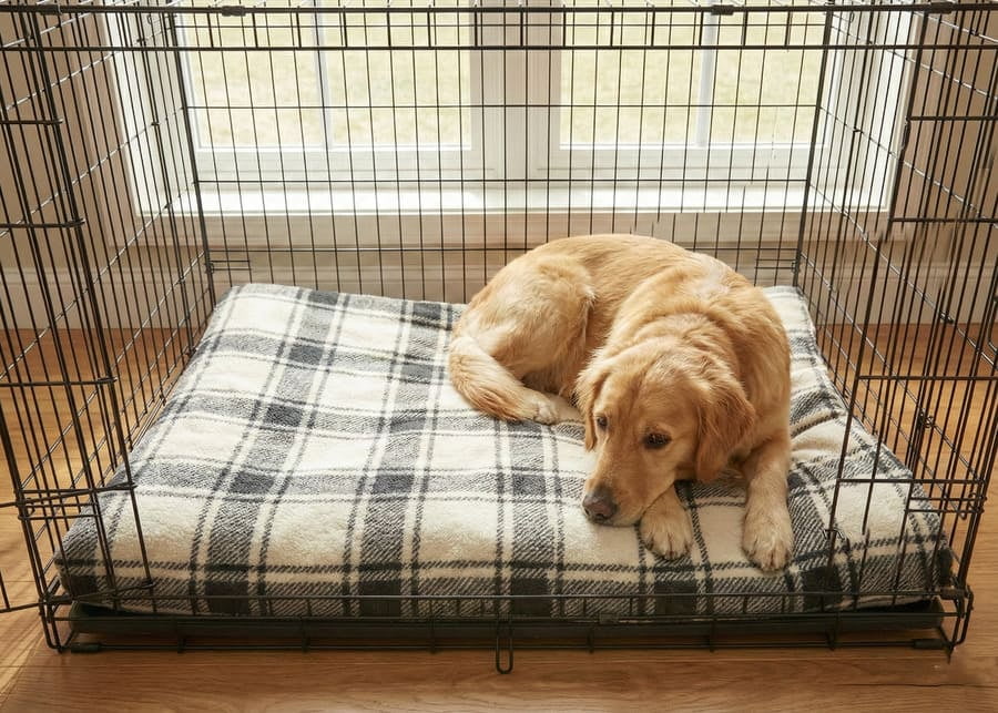 Comfortable pet crate bedding