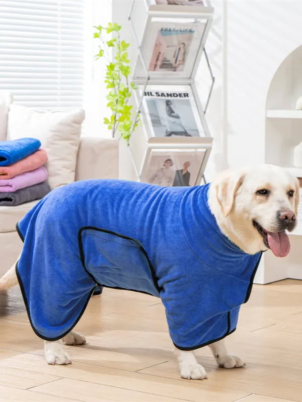 Golden Retriever wearing a blue absorbent pet bathrobe after a bath