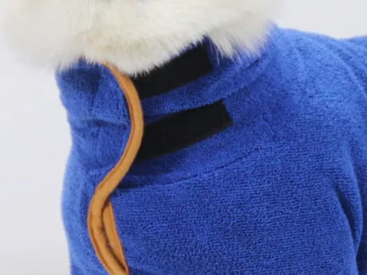Dog wearing bathrobe with high fold-down collar