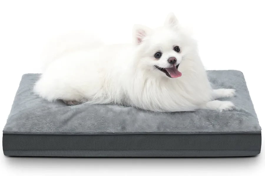 Durable Dog Crate Pad and Travel Mat