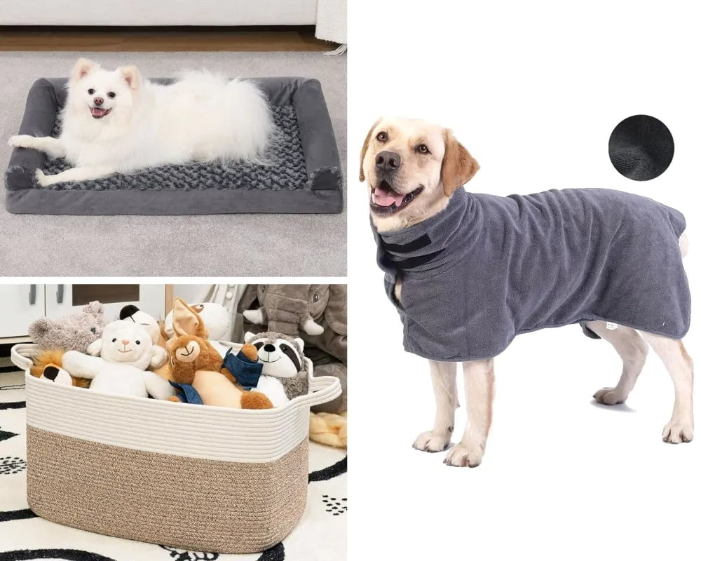 Modern pet furniture blending with home decor