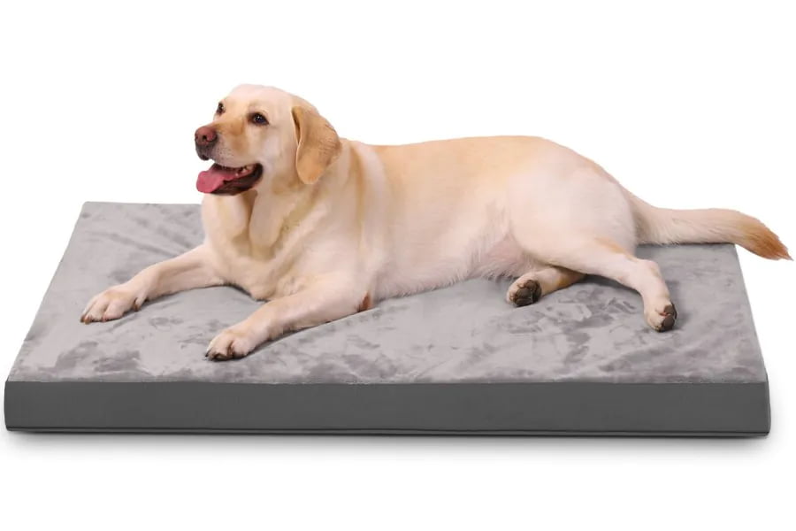 Orthopedic Memory Foam Dog Mattress