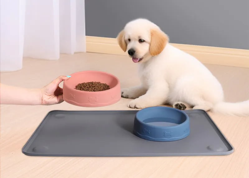Pet placemats protecting floor