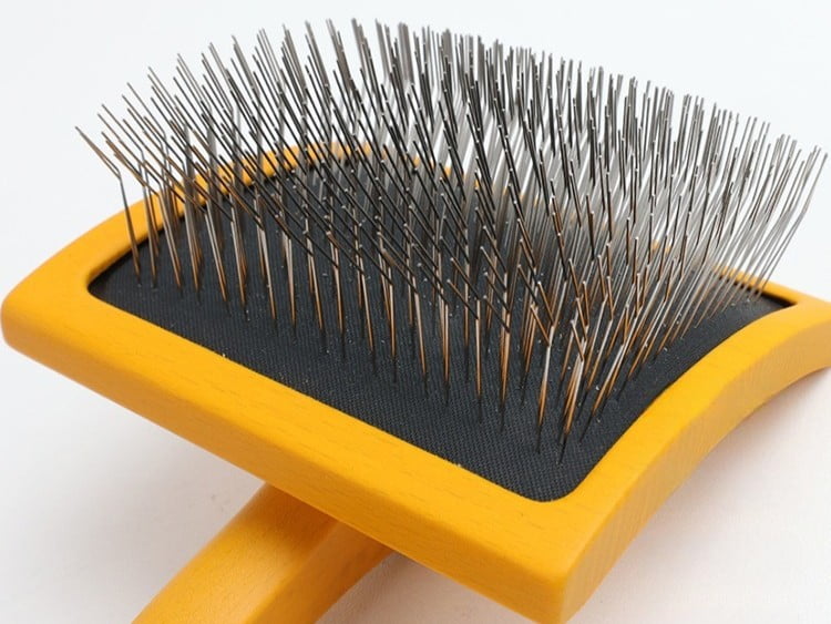 Close-up of stainless steel pins and safety tips on a pet grooming brush
