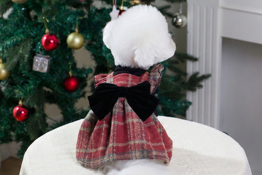 Fashionable Pet Dresses