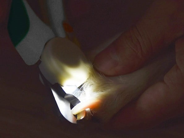 Safety Stop and LED Mechanism