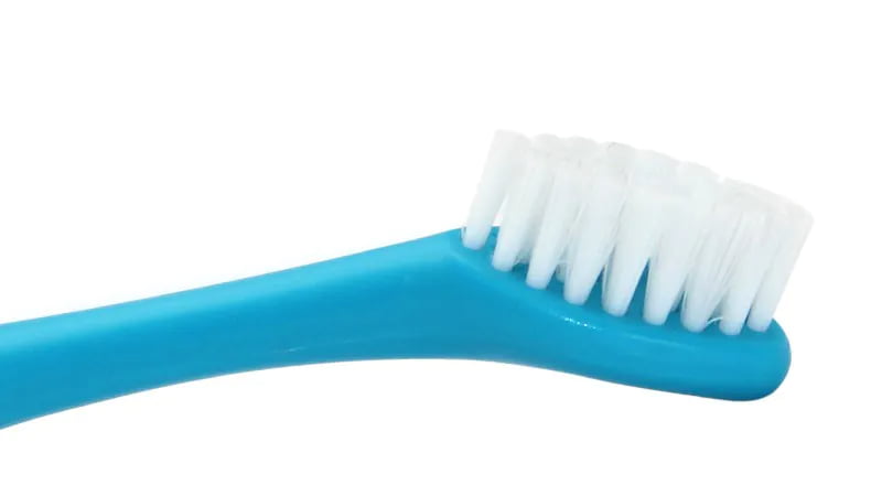 Pet Toothbrush Bristle Technology
