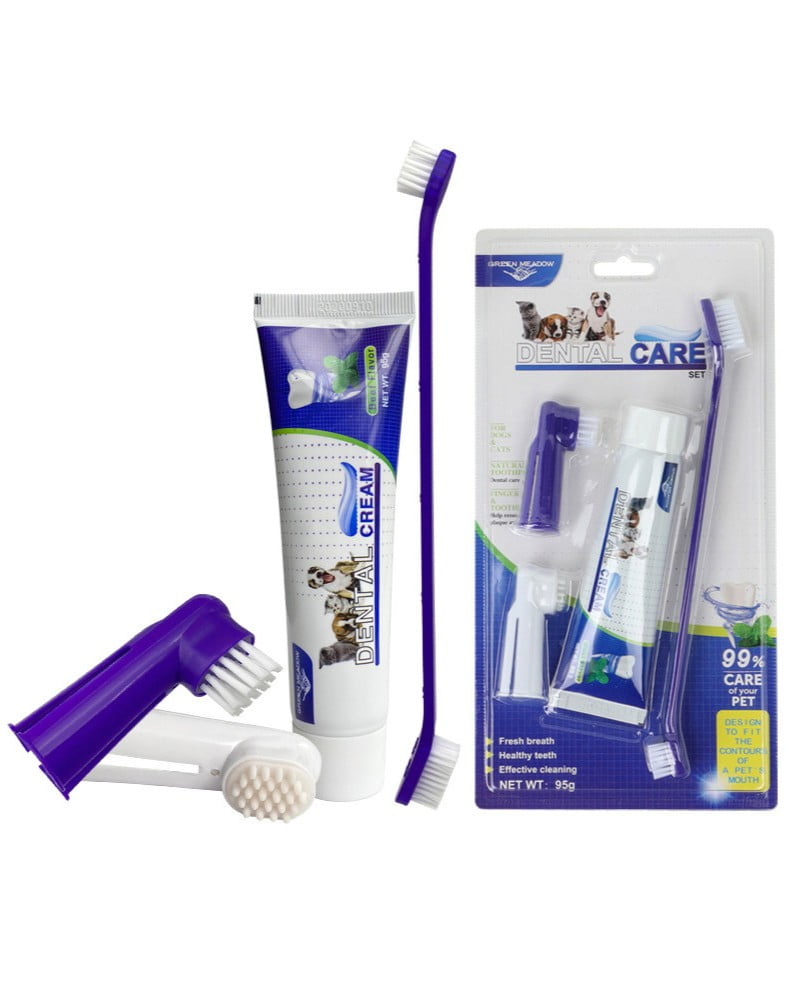 Professional dog toothbrush kit and dental care tools for safe at-home dog oral hygiene