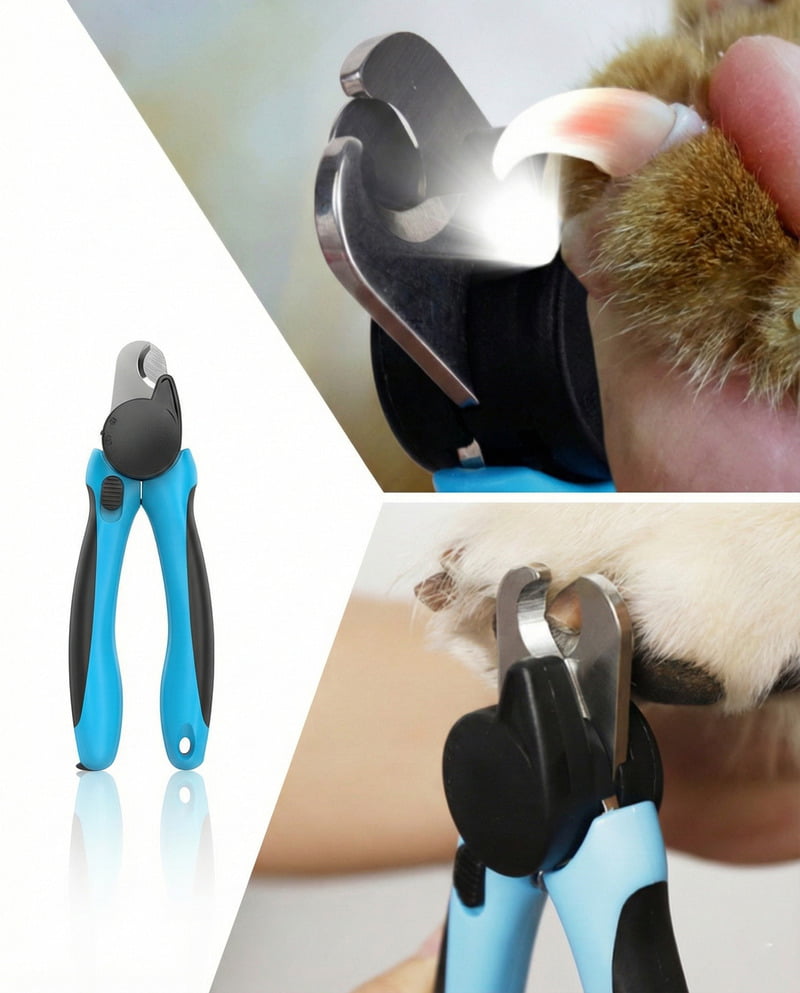 Owner safely using a professional dog nail grinder with light to trim pet nails without stress