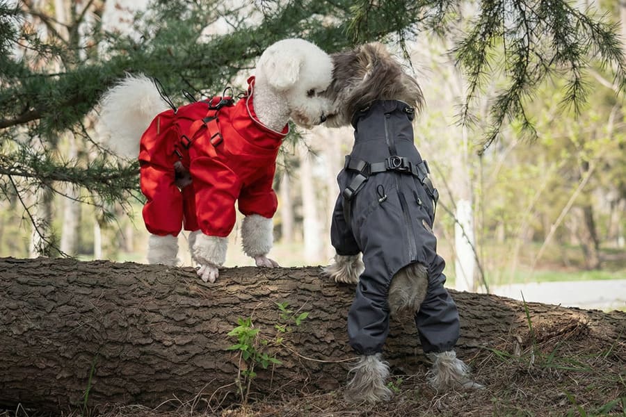 Waterproof Pet Raincoats