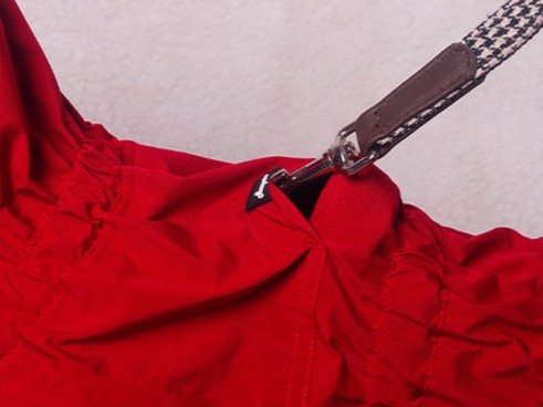 Dog raincoat with versatile leash compatibility and waterproof zipper