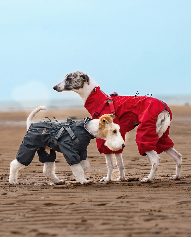 Functional dog raincoat for outdoor weather protection