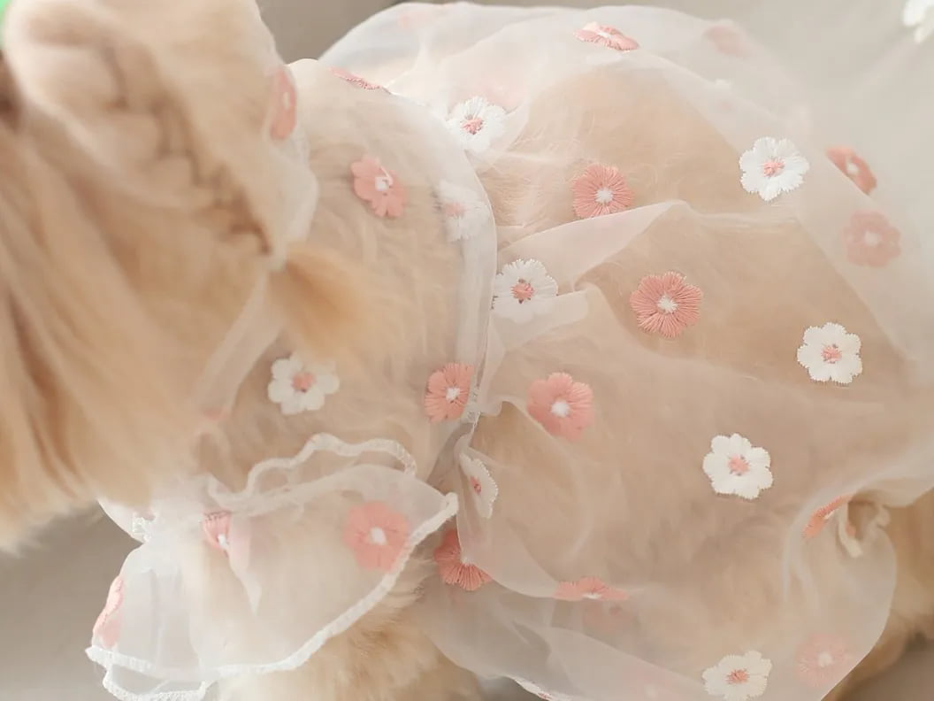 Close-up of haute couture detailing on pet dresses including ruffles and lace