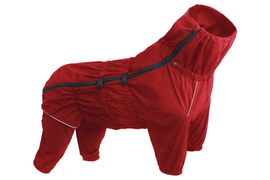 Lightweight Pet Raincoats for Spring and Summer