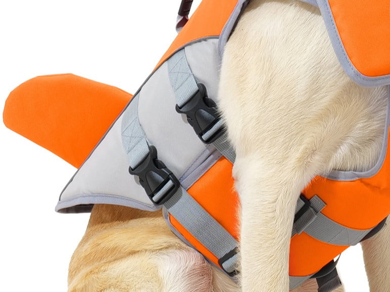 Motion Clearance and Anti-Chafe Edges for Dog Life Vests
