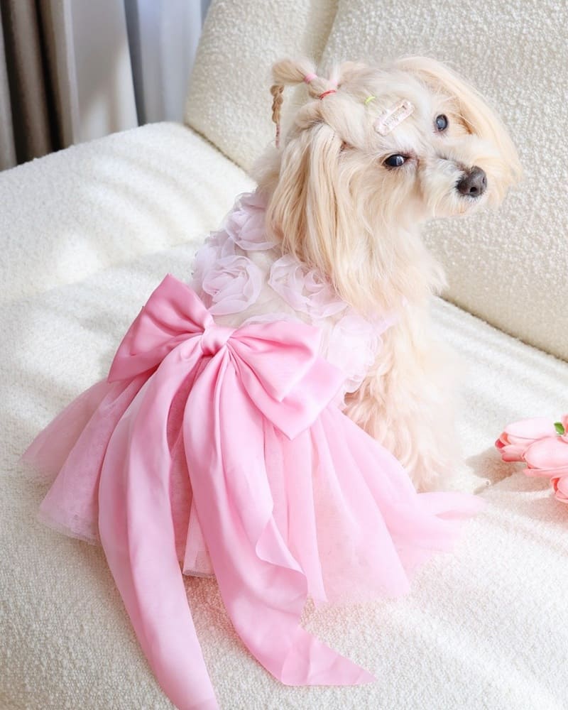 Elegant dog wearing a premium pet dress suitable for parties and special events