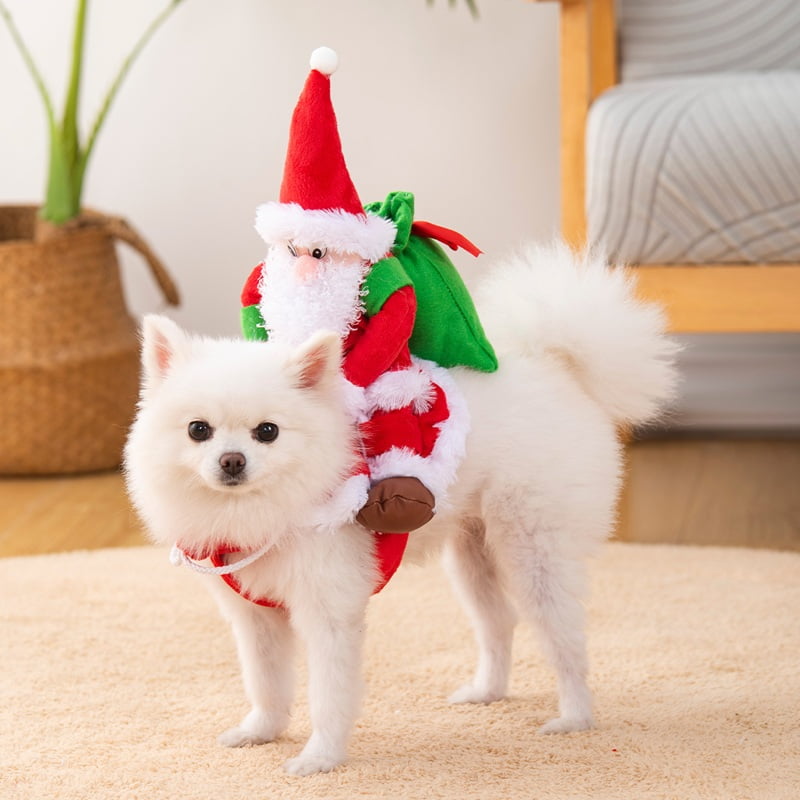 Riders and 3D Back Attachments Pet Costumes