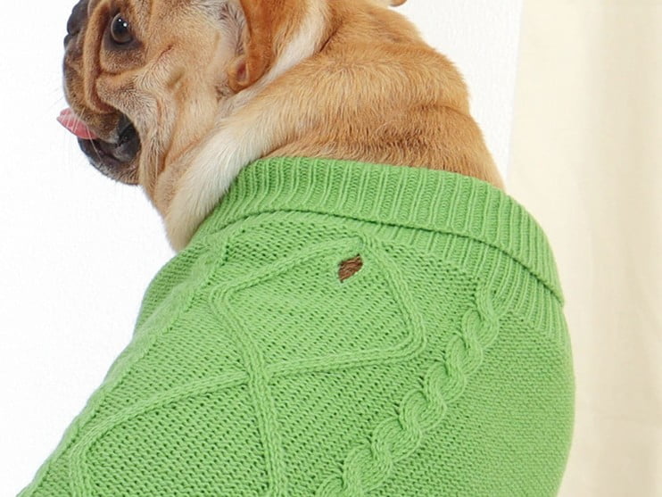 Breed-Specific Dog Sweater Necklines