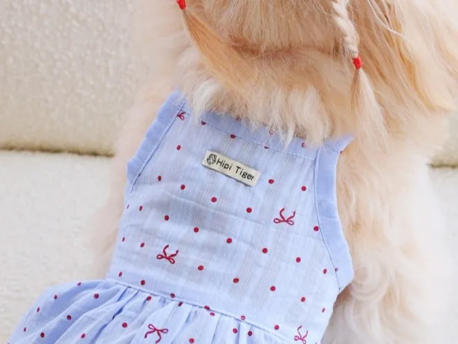 Custom engraved metal charms and woven tags for high-end pet dress