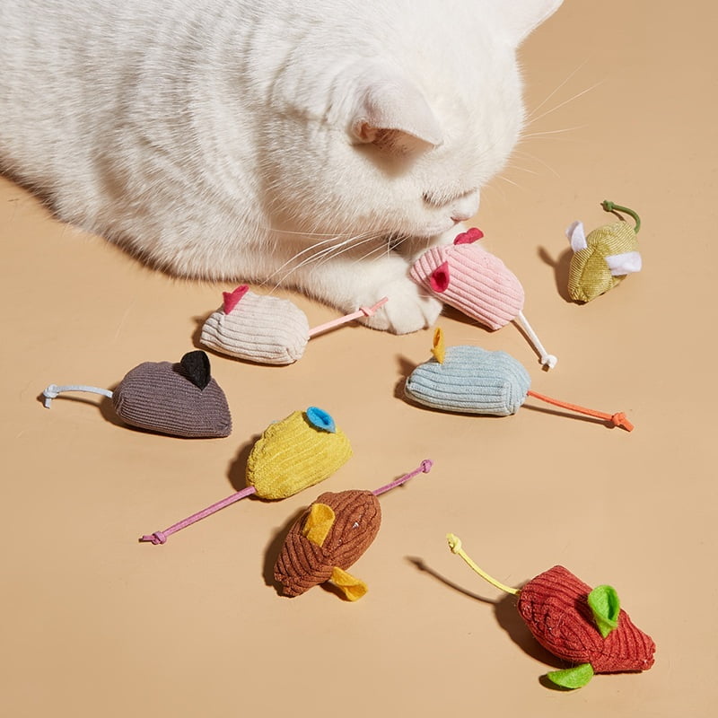 Cat Toys