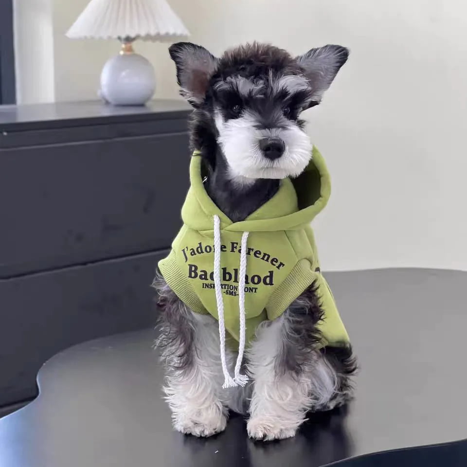 Pet apparel for custom and wholesale pet product programs